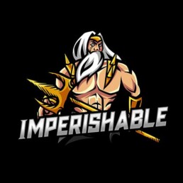 IMPERISHABLE-logo-esport-jersey